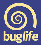 Buglife Buglife